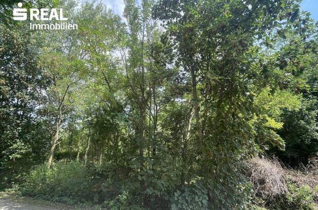 Grundstück kaufen in 2425 Nickelsdorf (Bild 2)