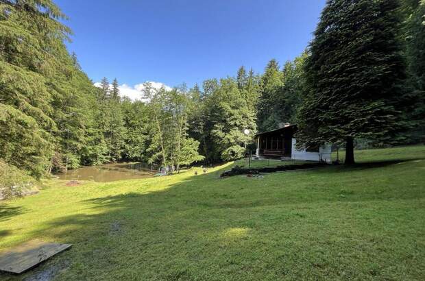 Gewerbeobjekt kaufen in 8302 Nestelbach (Bild 2)