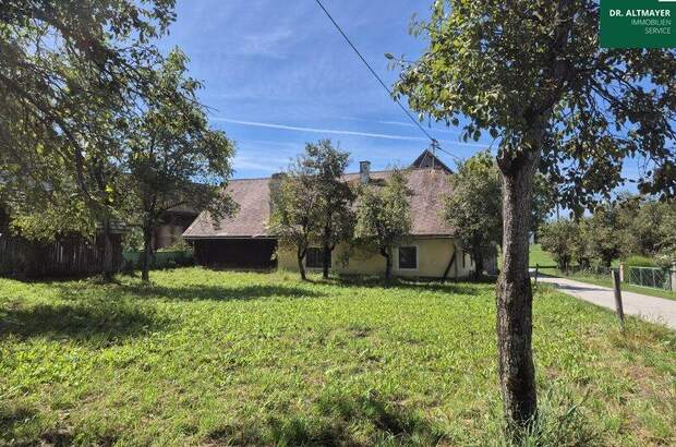 Grundstück kaufen in 9181 Feistritz (Bild 3)