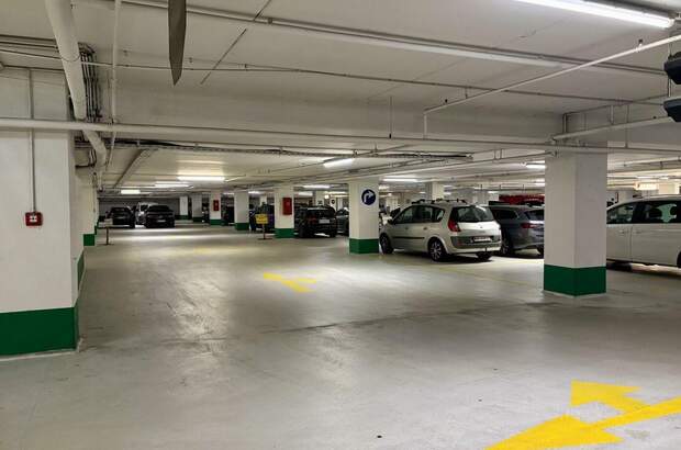 Gewerbeobjekt kaufen in 4600 Wels (Bild 5)