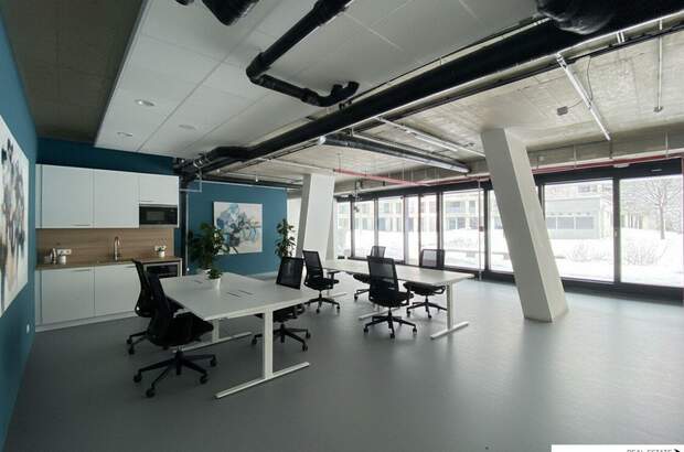 Gewerbeobjekt mieten in 1220 Wien (Bild 3)