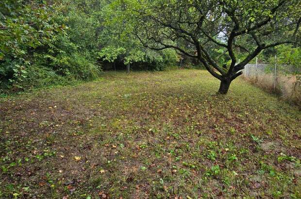 Einfamilienhaus kaufen in 3400 Kierling (Bild 4)