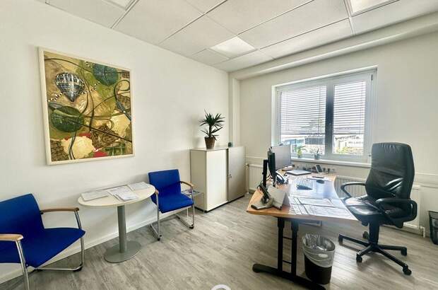 Gewerbeobjekt kaufen in 1230 Wien (Bild 3)