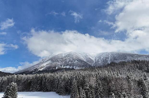 Einfamilienhaus kaufen in 3295 Lackenhof (Bild 3)