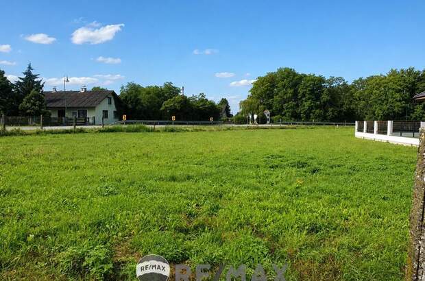 Grundstück kaufen in 3435 Zwentendorf (Bild 1)