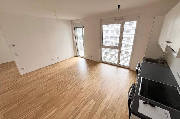 Terrassenwohnung mieten in 8020 Graz (Bild 1)