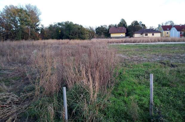 Grundstück kaufen in 2486 Siegersdorf (Bild 4)