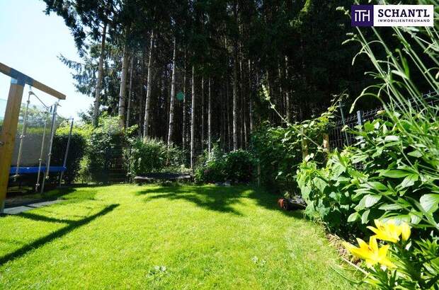 Mehrfamilienhaus kaufen in 8523 Frauental (Bild 4)