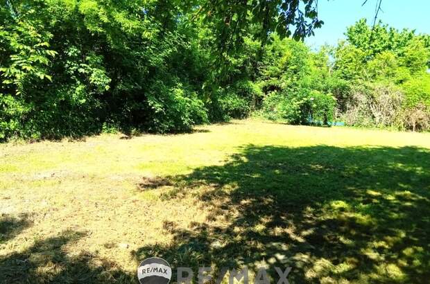 Einfamilienhaus kaufen in 2100 Korneuburg (Bild 2)