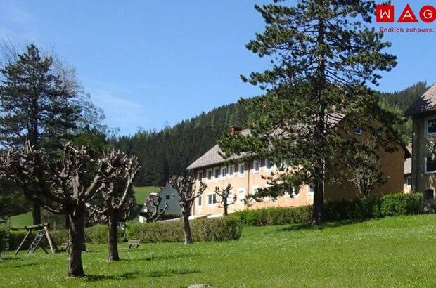 Mehrfamilienhaus kaufen in 8790 Eisenerz (Bild 4)