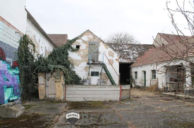 Grundstück kaufen in 2003 Leitzersdorf (Bild 5)