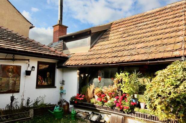 Haus mit Garten kaufen in 3820 Liebnitz (Bild 4)