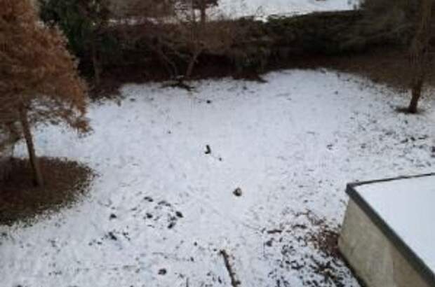 Haus kaufen in 8010 Graz (Bild 2)