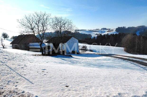 Bauernhaus kaufen in 4730 Waizenkirchen (Bild 4)