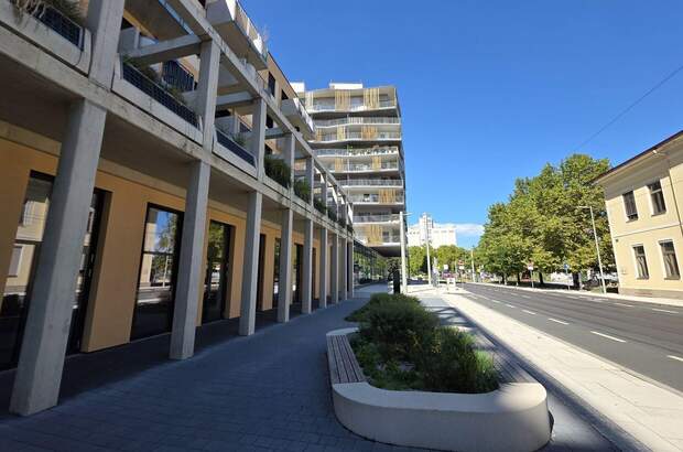 Gewerbeobjekt mieten in 8020 Graz (Bild 2)