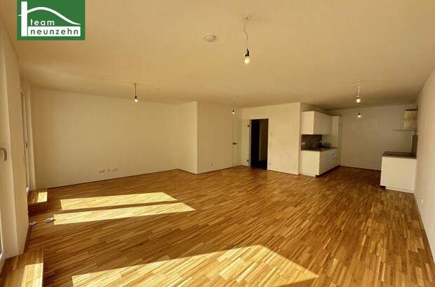 Terrassenwohnung mieten in 1230 Wien (Bild 2)