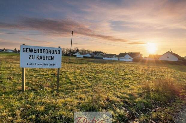 Grundstück kaufen in 4614 Marchtrenk (Bild 1)