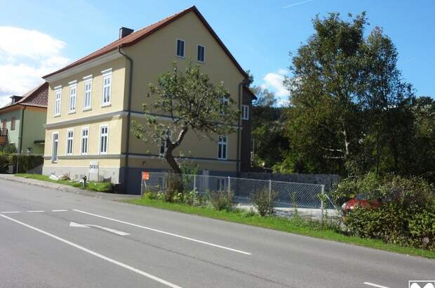 Gewerbeobjekt mieten in 2870 Aspang Markt (Bild 2)