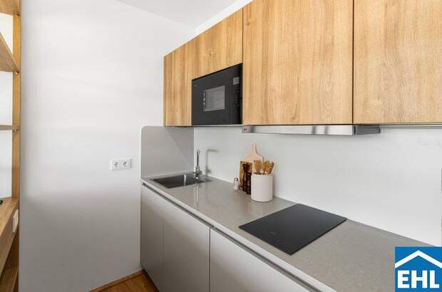 Terrassenwohnung mieten in 1200 Wien (Bild 1)