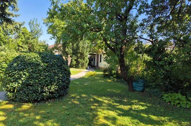 Grundstück kaufen in 2700 Wr. Neustadt (Bild 5)