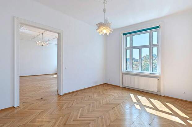 Altbauwohnung mit Balkon kaufen in 1190 Wien (Bild 3)