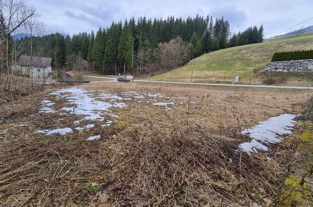 Grundstück kaufen in 4574 Vorderstoder (Bild 1)