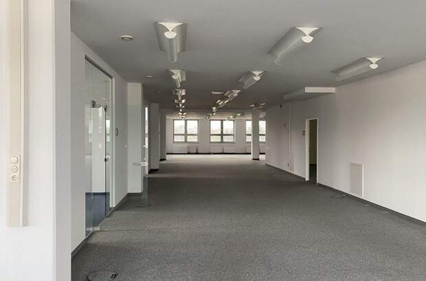 Gewerbeobjekt mieten in 1230 Wien (Bild 3)