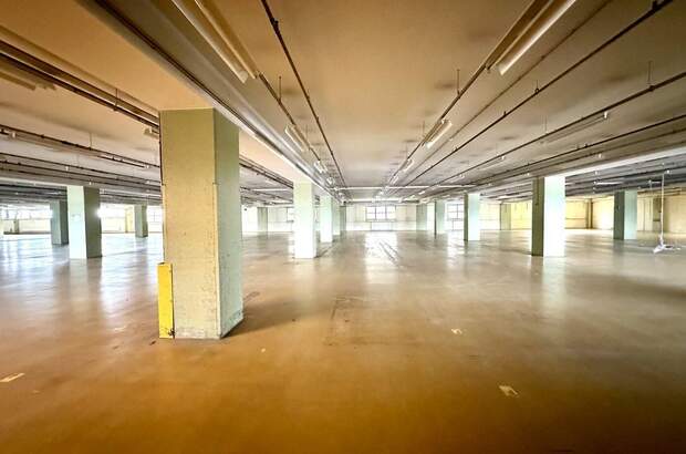 Gewerbeobjekt mieten in 8055 Graz (Bild 1)