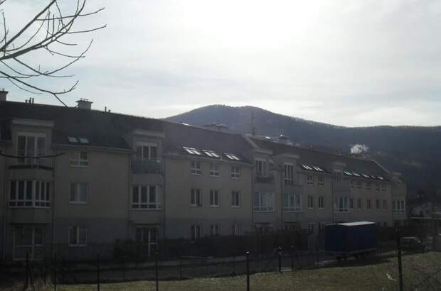 Terrassenwohnung mieten in 3160 Traisen (Bild 2)