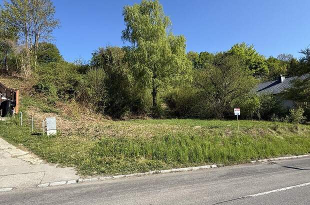 Grundstück kaufen in 3413 Hintersdorf (Bild 1)