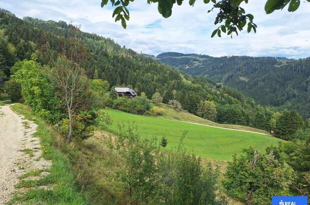 Gewerbeobjekt kaufen in 9433 St. Andrä (Bild 1)