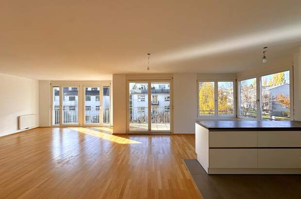 Terrassenwohnung mieten in 1190 Wien (Bild 2)