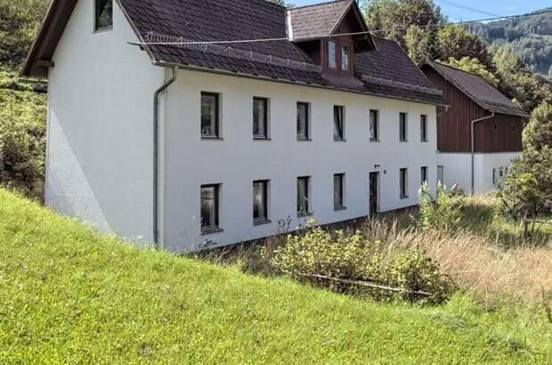 Haus kaufen in 4460 Losenstein (Bild 2)