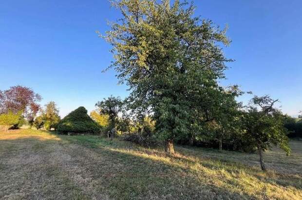 Grundstück kaufen in 4615 Holzhausen (Bild 4)
