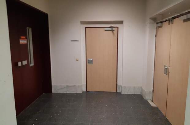 Büro / Praxis mieten in 3580 Horn (Bild 2)