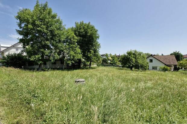 Grundstück kaufen in 4060 Leonding (Bild 5)