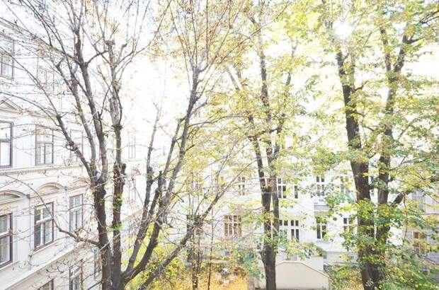 Altbauwohnung mit Balkon mieten in 1090 Wien (Bild 2)