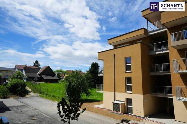 Terrassenwohnung kaufen in 8401 Kalsdorf (Bild 3)