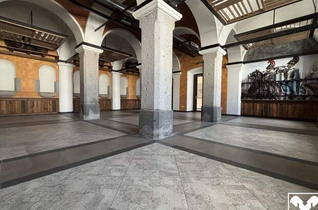 Gewerbeobjekt mieten in 4470 Enns (Bild 3)