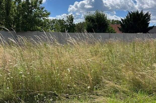 Grundstück kaufen in 2263 Dürnkrut (Bild 5)