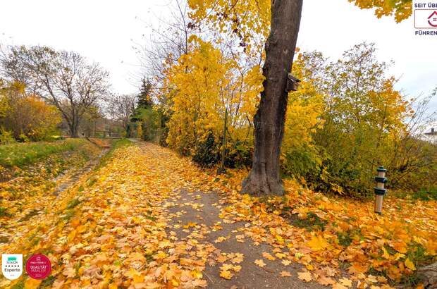 Grundstück kaufen in 2070 Retz (Bild 1)