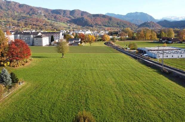 Grundstück kaufen in 4560 Kirchdorf (Bild 4)