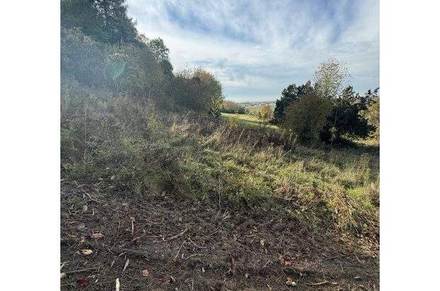 Grundstück kaufen in 3433 Königstetten (Bild 2)