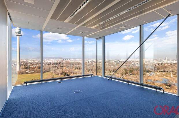 Gewerbeobjekt mieten in 1220 Wien (Bild 3)