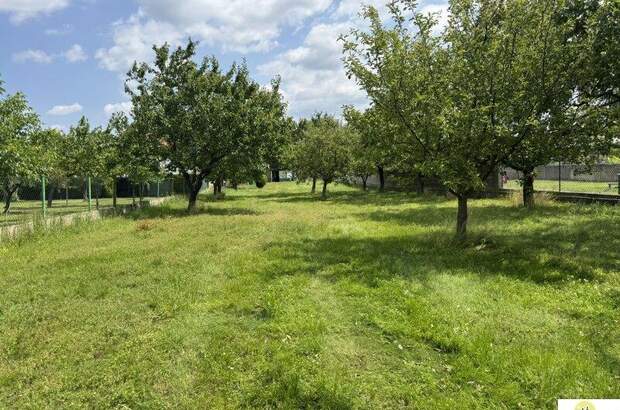 Grundstück kaufen in 2421 Kittsee (Bild 2)