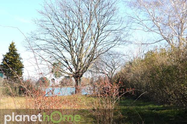 Einfamilienhaus kaufen in 7061 Trausdorf (Bild 5)