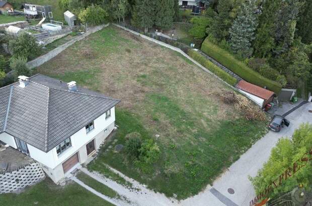 Grundstück kaufen in 2733 Grünbach (Bild 1)