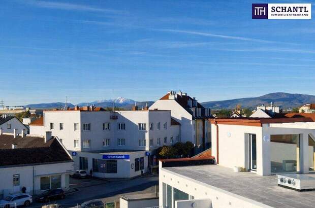 Terrassenwohnung kaufen in 2514 Traiskirchen (Bild 4)