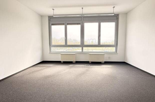 Gewerbeobjekt mieten in 2320 Schwechat (Bild 5)
