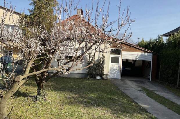 Haus mit Garten kaufen in 9200 Mosonmagyaróvár (Bild 1)